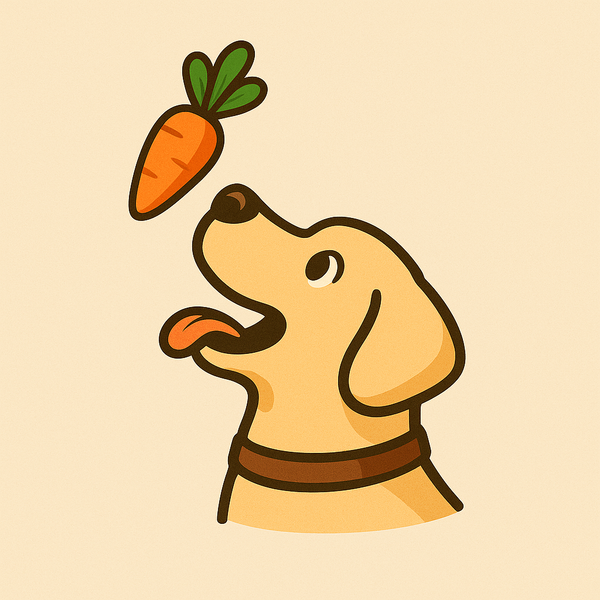 Fun4dog